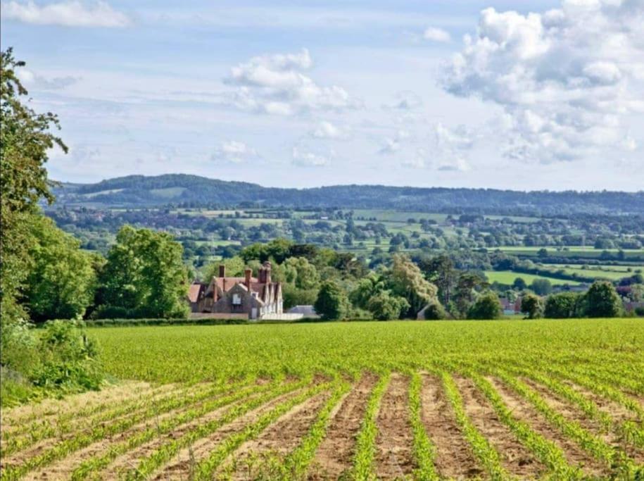 Stags Barn Saxon Maybank Sherborne  Dış mekan fotoğraf